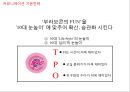 No.1 재 탈환을 위한 부라보콘 커뮤니케이션 전략 37페이지