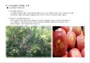 부동산 트렌드 변화와 상품개발사례 분석 52페이지