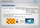 현대상선 28페이지