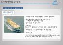 현대상선 36페이지