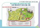 한국의 대중음악페스티벌 -혼란기인가, 황금기인가 30페이지