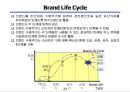 브랜드 전략의 이해 24페이지