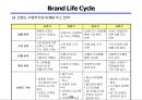 브랜드 전략의 이해 25페이지