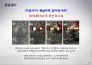 브랜드 이해하기 71페이지