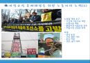비정규직의 실태와 문제점 22페이지
