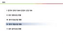 글로벌 콘텐츠 비즈니스 중국의 약진 소비시장에서 프로덕션 하우스로 22페이지