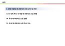 글로벌 애니메이션 산업의 이해 2페이지