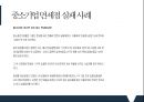 기업의 현지화 전략 - 성공 & 실패사례 13페이지