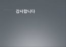 제18대 대통령 선거과정 및 결과 분석 31페이지