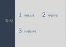 뱅뱅 패션마케팅전략 (한국 청바지매출1위) 2페이지
