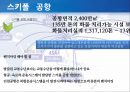 동북아 허브공항의 여건 과 인천공항의 과제 12페이지