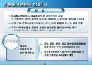 디지털융합의 촉진과 확산 24페이지