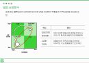 시장변화에 따른 LINE 전략 분석 14페이지