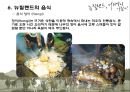 뉴질랜드 18페이지