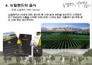 뉴질랜드 22페이지