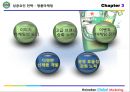 Heineken Brand Marketing - 4P STP SWOT 38페이지