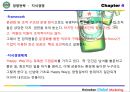 Heineken Brand Marketing - 4P STP SWOT 46페이지