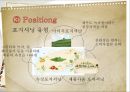 이니스프리Innisfree 18페이지