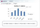 Lg전자 진공청소기 마케팅전략 13페이지