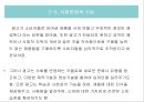 광고기획 및 제작 24페이지