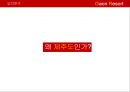 관광목적지형 복합리조트 카지노. 크루즈형 카지노 개발 기획 13페이지