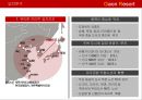 관광목적지형 복합리조트 카지노. 크루즈형 카지노 개발 기획 14페이지