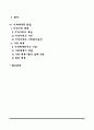 [사회복지실천] 통합적 접근방법의 주요 관점 2페이지