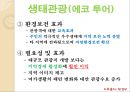 관광 산업(생태관광과 공정여행) 18페이지