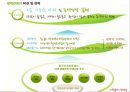 관광 산업(생태관광과 공정여행) 19페이지