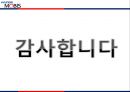 현대모비스의 경영자원과 핵심역량 45페이지