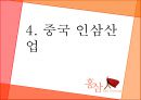 홍삼 Red Ginseng 27페이지