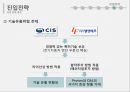 말레이시아시장진출 전략 25페이지