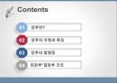 성인간호실습주제발표-장루간호pptx 2페이지