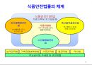 식품안전성과 안전관리체계 17페이지