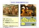 식품안전성과 안전관리체계 47페이지