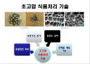 식품 저장학 29페이지