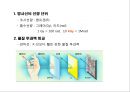 식품 저장학 33페이지