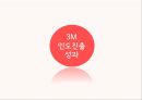 3M 인도진출사례 38페이지