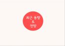 3M 인도진출사례 41페이지