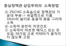 중심정맥관 종류와 관리 19페이지