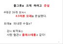4대강 사업과 수질오염 19페이지