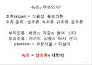4대강 사업과 수질오염 26페이지