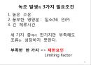 4대강 사업과 수질오염 28페이지