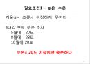 4대강 사업과 수질오염 29페이지