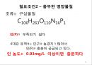 4대강 사업과 수질오염 31페이지