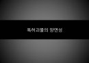 특허괴물 과연 정당한가? 13페이지