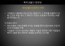 특허괴물 과연 정당한가? 18페이지