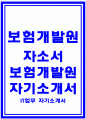 보험개발원자소서 보험개발원자기소개서 보험개발원IT업무자소서 보험개발원 IT업무 자기소개서 보험개발원합격자소서 보험개발원신입자기소개서 보험개발원 자소서항목 보험개발원 IT업무 자소서 1페이지