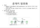 정보 보안 관리의 이해 21페이지