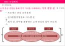 BSC 도입과 성공사례분석 11페이지